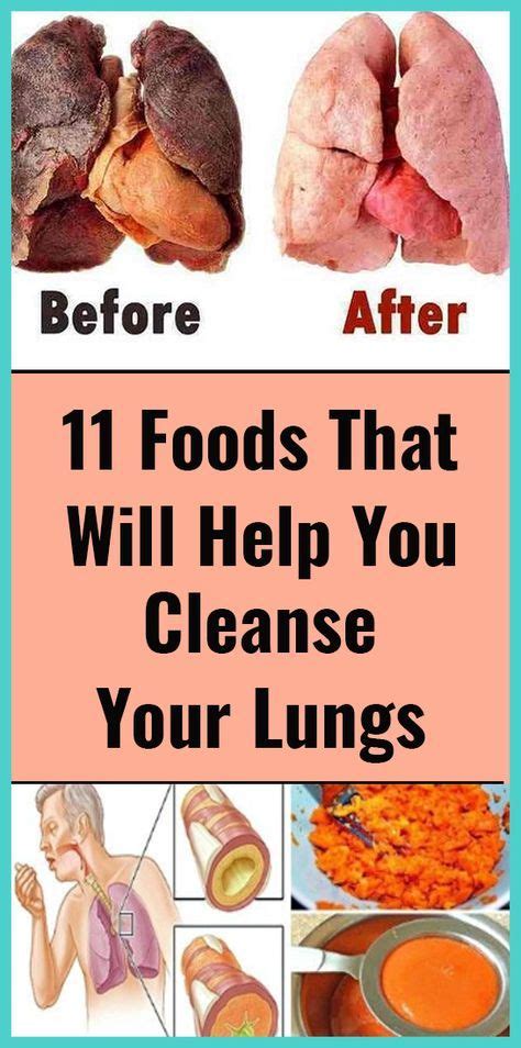 Top 11 Foods That Will Help You Cleanse Your Lungs Healthy Food Guide