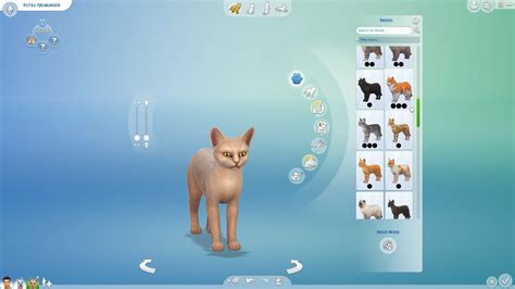 Lista Wszystkich Ras Z The Sims 4 Psy I Koty Dotsim