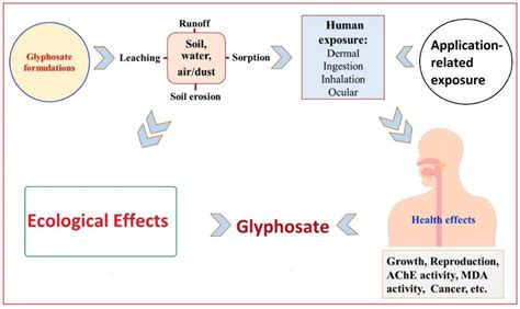 Applied Sciences Free Full Text Review Of Glyphosate Based