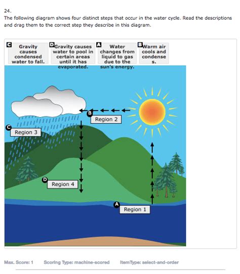 Elwood Water Cycle Quiz 1 Quizizz