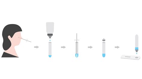 Rapid antigen tests, which detect the presence of viral proteins (antigens), are increasingly being used by member states as a way of further strengthening countries' overall testing capacity. CLINITEST® Rapid COVID-19 Antigen Test - Siemens ...