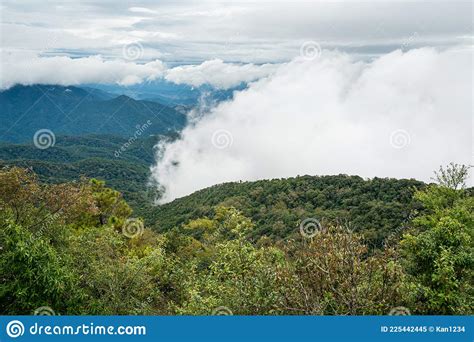 Fog Cover Beautiful Rain Forest Mountain In Northern Thailand Chiang