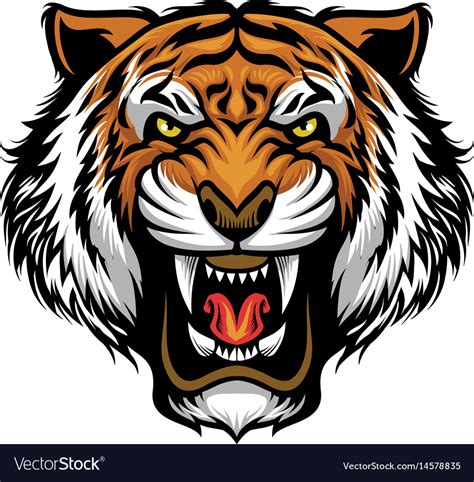 Angry Tiger Face Royalty Free Vector Image VectorStock