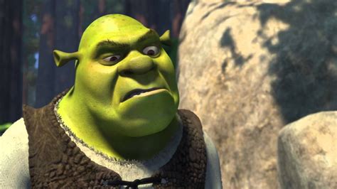 Shrek Is Not Amused Animation Movie Dreamworks Animation Disney And
