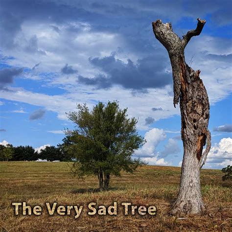 The Very Sad Tree Brad Hepps Miscellany