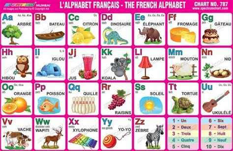 Chart No 787 Lalphabet Francais The French Alphabet