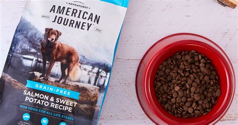 Best Dog Food Brands For High Quality On Every Budget