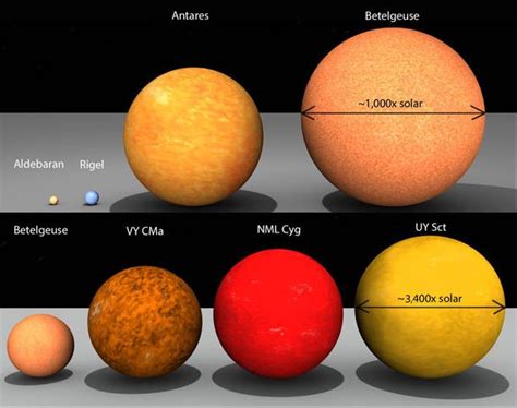 A Selection Of Stellar Giants Ranging From The Orange Giant Aldebaran
