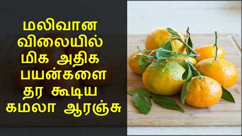 கமலா ஆரஞ்சு நன்மைகள் பட்டியல் Orange Health Benefits In Tamil Youtube