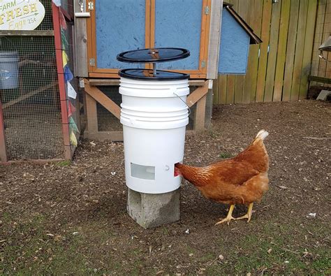 Clean 5 Gallon Chicken Waterer 6 Steps Instructables