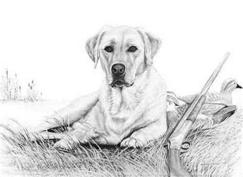 Hunting | Dog paintings, Puppy drawing, Dog drawing