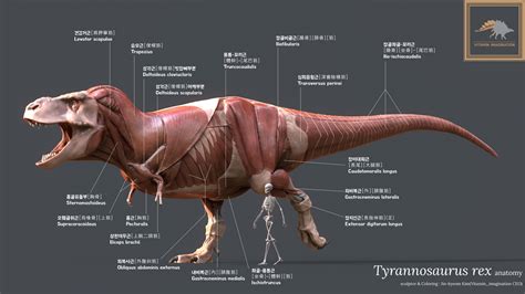 Artstation Tyrannosaurus Rex Anatomy
