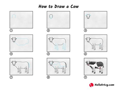 How To Draw A Cow Helloartsy