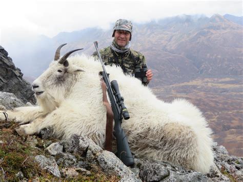 Alaska Mountain Goat Hunt 10650