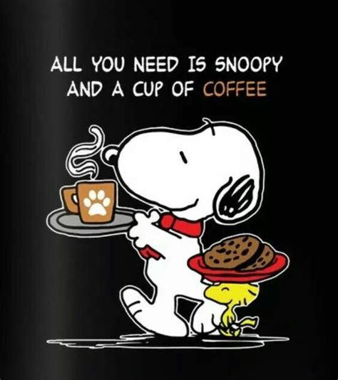 Cappuccino Vs Latte Snoopy Funny Snoopy Pictures Snoopy Quotes