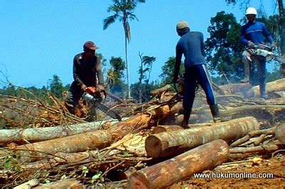 Hal ini sejalan dengan munculnya berbagai macam permasalahan yang permasalahan di dalam hutan cukup sering terjadi, salah satunya adalah pembalakan liar atau penebangan hutan secara liar yang. Pembalakan Liar di Kalimantan Dilaporkan ke KPK ...