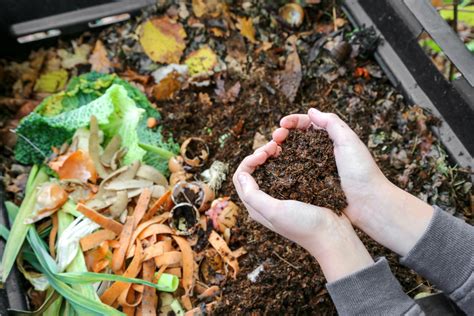 Learn How To Compost Like A Pro A Simple Guide To Create Great Soil