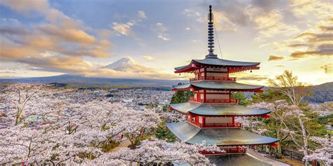 Sakura Rising Spring In Japan Travelogues From Remote Lands
