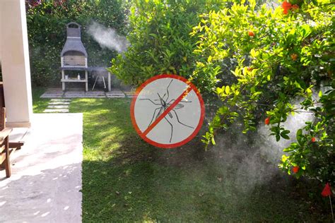 Se completi un certo numero di zanzare uccise ad ogni livello, andrai al livello successivo. Come eliminare le zanzare dal tuo giardino di casa - ADEC ...