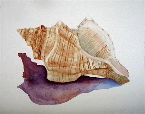 Watercolor Painting Conch Seashell Shell By Barbararosenzweig 2900