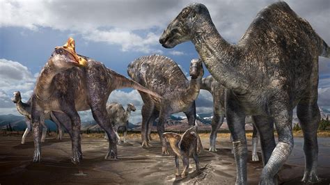 Duck Billed Dinosaurs Roved The Arctic 69 Million Years Ago Study Says