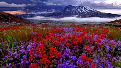 Fields Mountain Flowers Mount Nature Spring Hd Background
