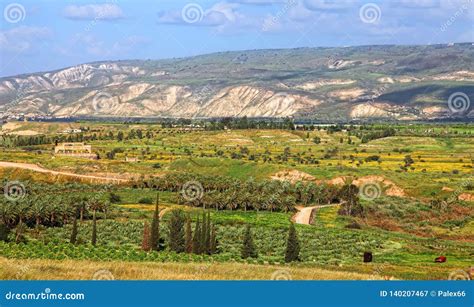 Green Farming Paradise Of Israel Stock Image Image Of Meadow Dale