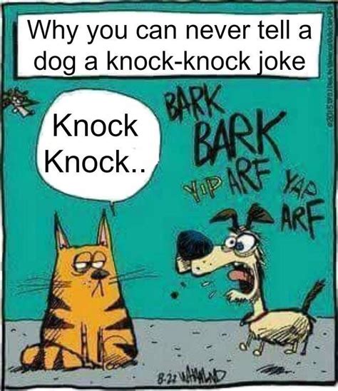 The Best Knock Knock Jokes About Animals Ideas
