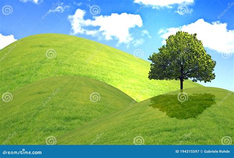 Green Hills With Grass And A Tree In The Sunlight Stock Illustration