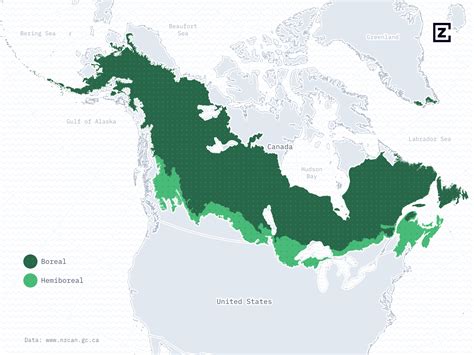 A Map Of The North American Boreal Zone By Z Creative Labs On Dribbble