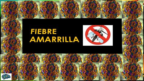 Virus De Fiebre Amarilla Salud Virus Udocz