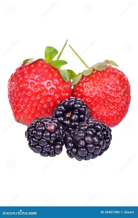 Closeup Of Assorted Fresh Berries Isolated Stock Image Image Of