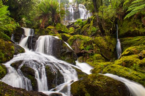 Evercreech Rivulet Falls Waterfalls Of Tasmania Waterfall Gorgeous