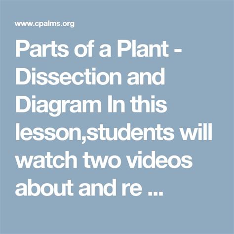 Parts Of A Plant Dissection And Diagram In This Lessonstudents Will
