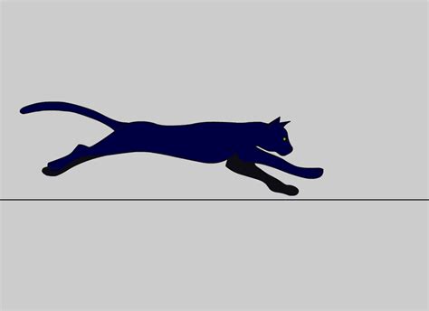 Artstation Cat Running Animation Chiara Tallarico