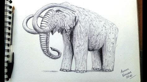 Como Dibujar Un Mamut How To Draw A Mammoth Reto Drawing Temporada Vii