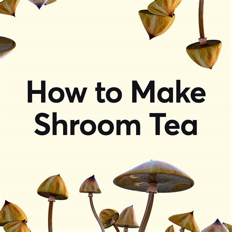 How To Make Shroom Tea The Ultimate Mushroom Tea Guide My Supply Co
