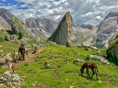 Two Great Hikes In Val Gardena In The Italian Dolomites You Should Go