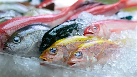 Ase el salmón en la parrilla hasta que este listo. Fresh vs. Frozen Fish: 3 Tips for Buying Seafood - YouTube