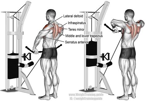 Cable Wide Grip Upright Row A Compound Shoulder And Arm Exercise
