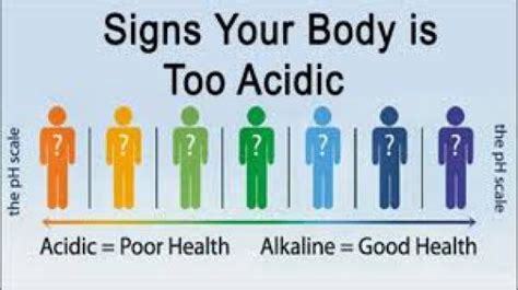 Ways To Make Your Body More Alkaline Wholefoods Plantbased Group