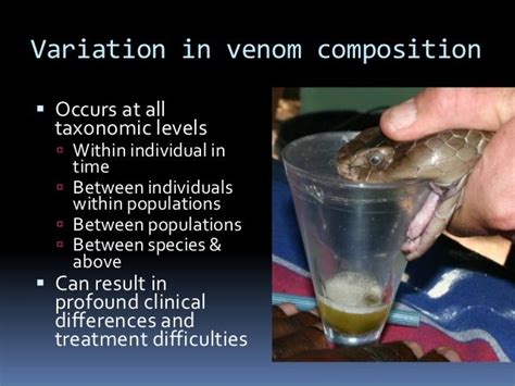 Why Is Snake Venom Composition So Variable