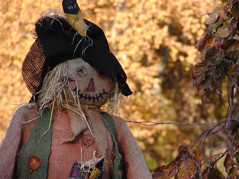 Fall Scarecrow Free Photo Download Freeimages