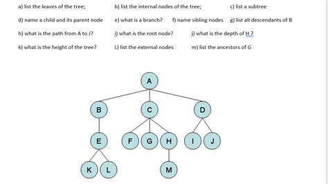 Solved B List The Internal Nodes Of The Tree C List A