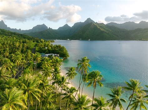 Maru And Cj Honeymoon Hilton Moorea Lagoon Resort And Spa Paulina
