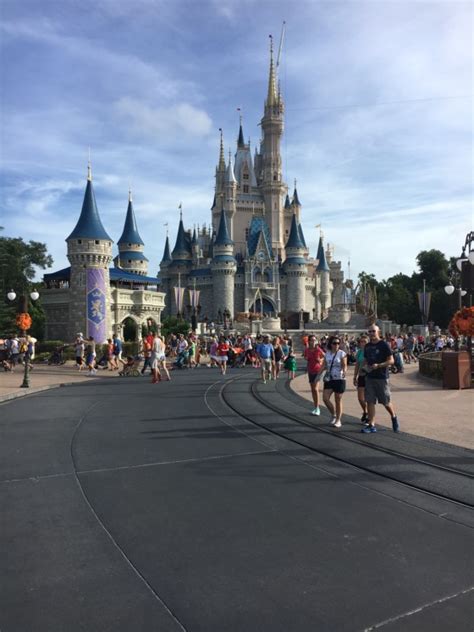 Here she explains the differences in each of the four uniquely themed parks. 5 Things To Know About Trip Insurance For Disney World