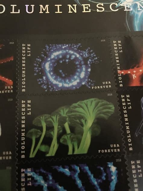 Check Out The New Bioluminescent Life Forever Stamps Rmycology