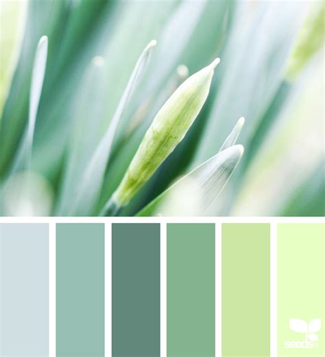 Color Nature | Bedroom colour schemes warm, Green colour palette, Green color schemes
