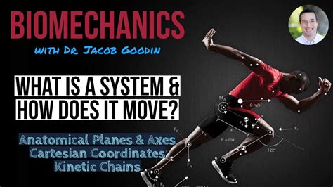 Biomechanics What Is A System And How Does It Move Part 1 Youtube