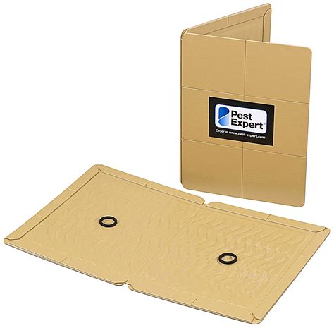 Pest expert is the uk's leading supplier of professional pest control products for amateur use. Pest Expert Rat Glue Traps Rat Glue Boards Sticky Boards ...